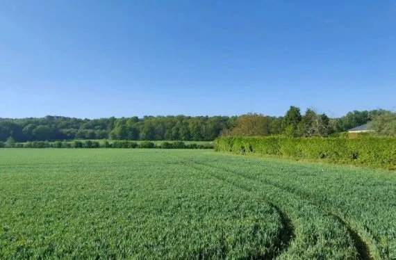 Terrain 867 m² à SAINT-GUYOMARD